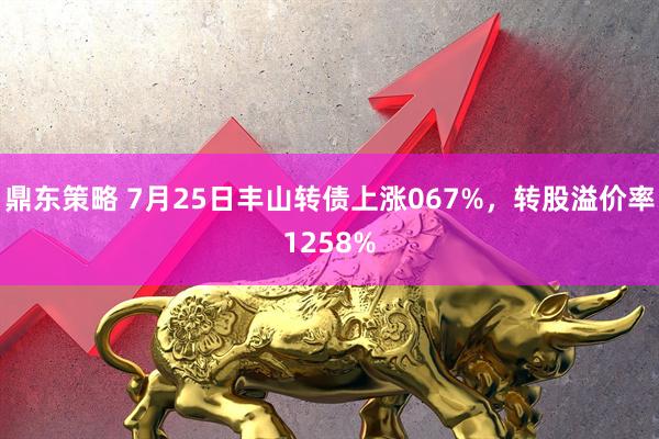 鼎东策略 7月25日丰山转债上涨067%，转股溢价率1258%